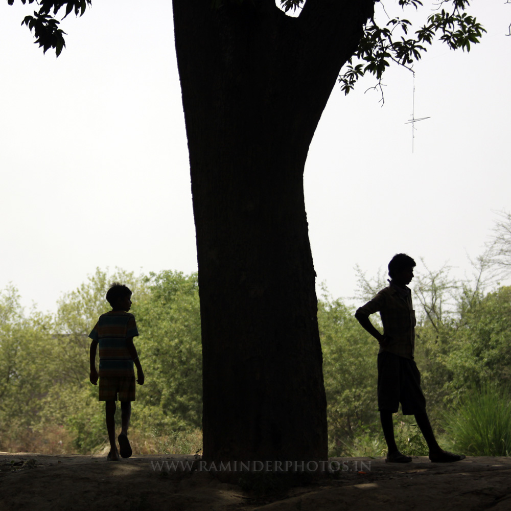 young boys near a tree