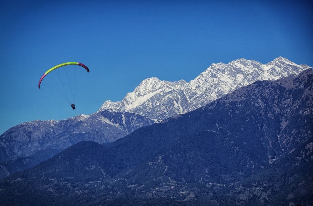 Paraglider in front of Dhauladhar mountains at over Bir landing site
